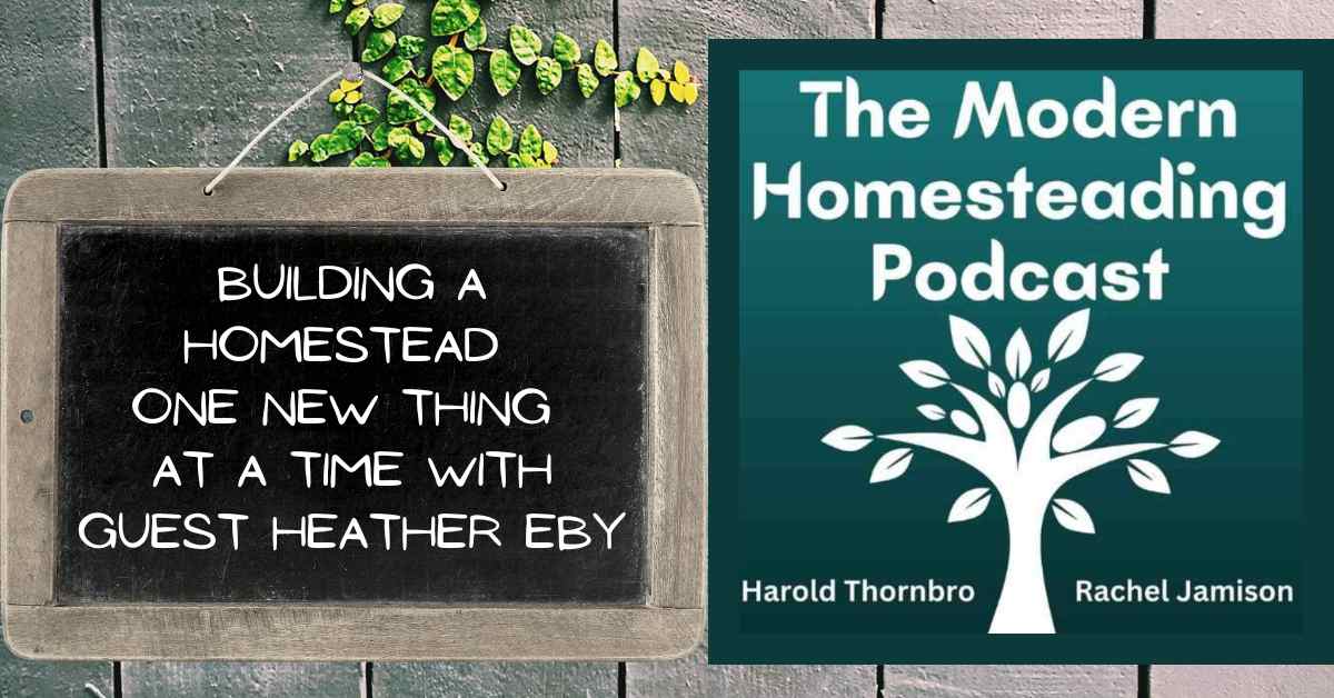 Read more about the article Building A Homestead One New Thing At A Time With Guest Heather Eby