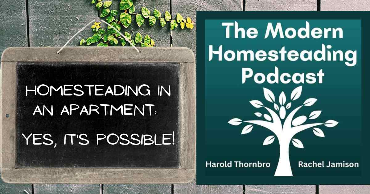 Read more about the article Homesteading in an Apartment: Yes, It’s Possible!