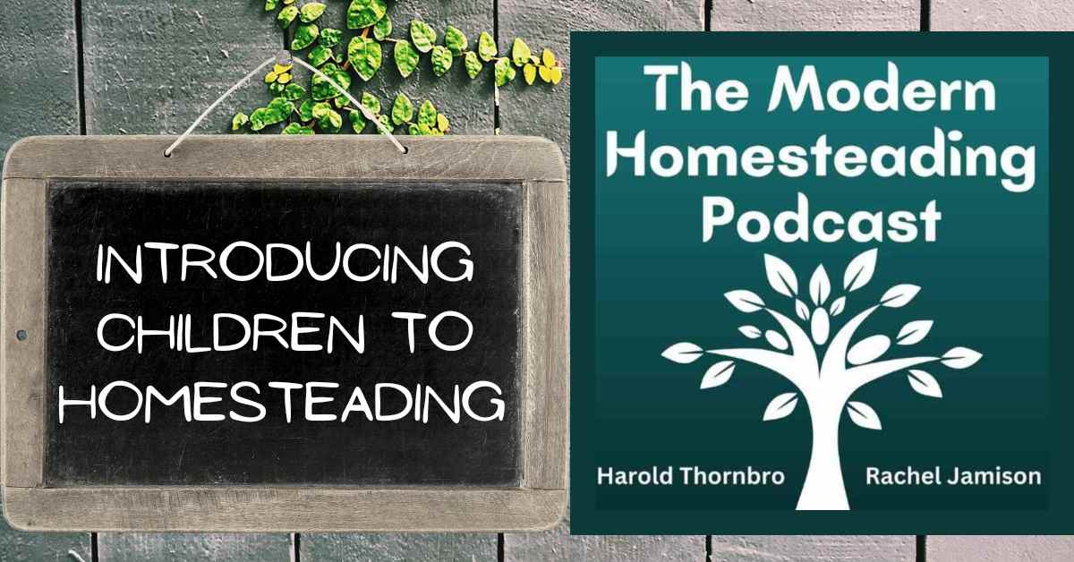 Read more about the article Introducing Children To Homesteading For A Self Sufficient Future