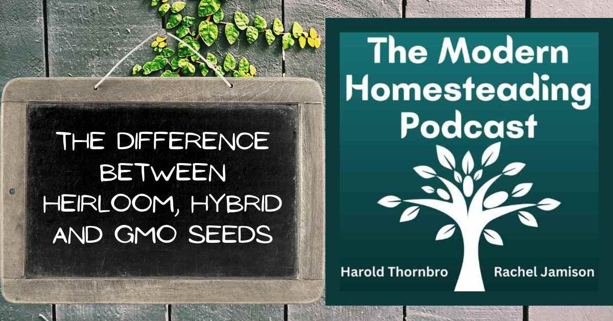 Read more about the article What’s The Difference Between Heirloom, Hybrid and GMO Seeds