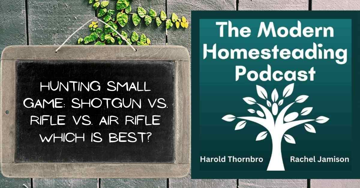 Read more about the article Hunting Small Game: Shotgun vs. Rifle vs. Air Rifle — Which is Best?