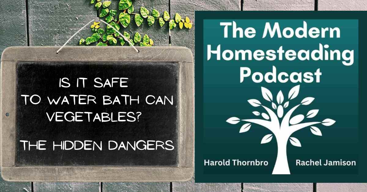 Read more about the article Is It Safe To Water Bath Can Vegetables? The Hidden Dangers