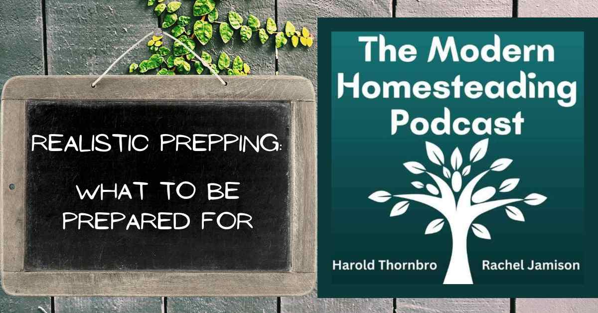 Read more about the article Realistic Prepping: What To Be Prepared For