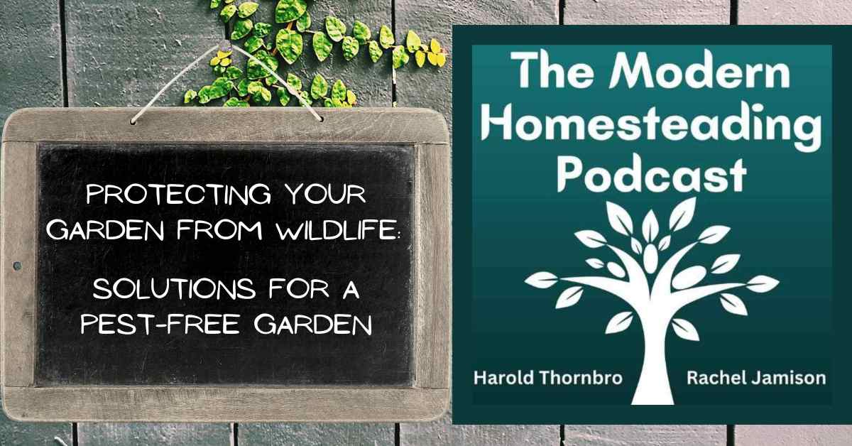 Read more about the article Protecting Your Garden From Wildlife: Solutions for a Pest-Free Garden