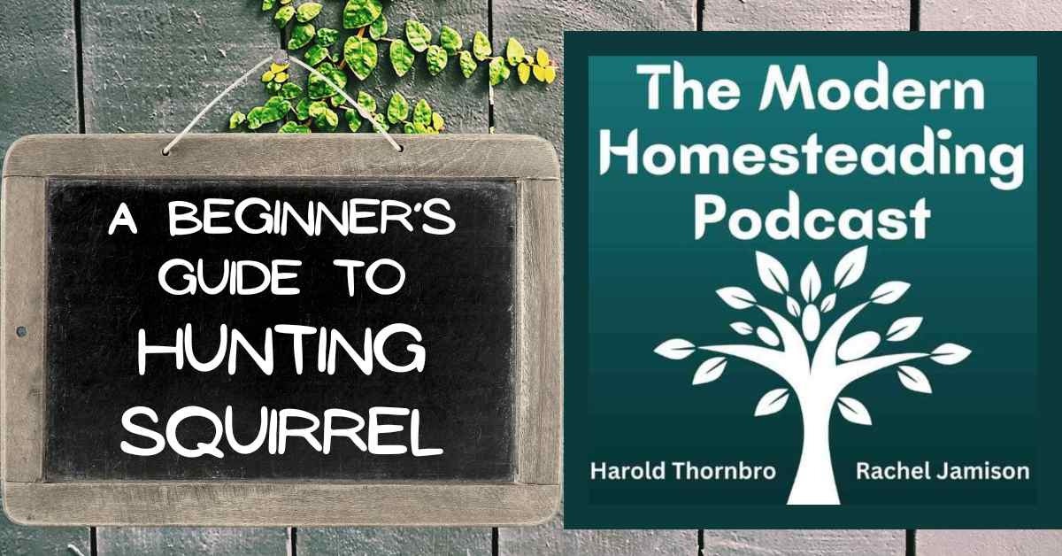 Read more about the article A Beginner’s Guide To Hunting Squirrel