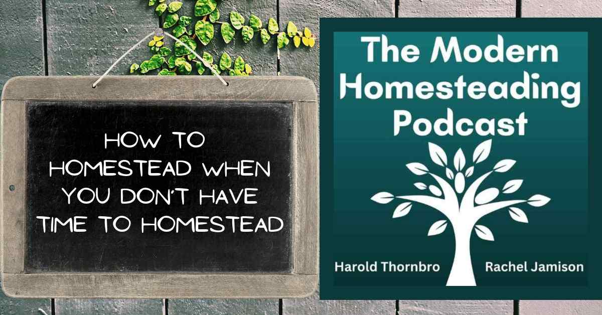 Read more about the article How To Homestead When You Don’t Have Time To Homestead