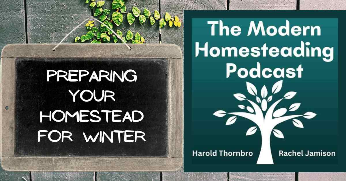 Read more about the article Preparing Your Homestead for Winter