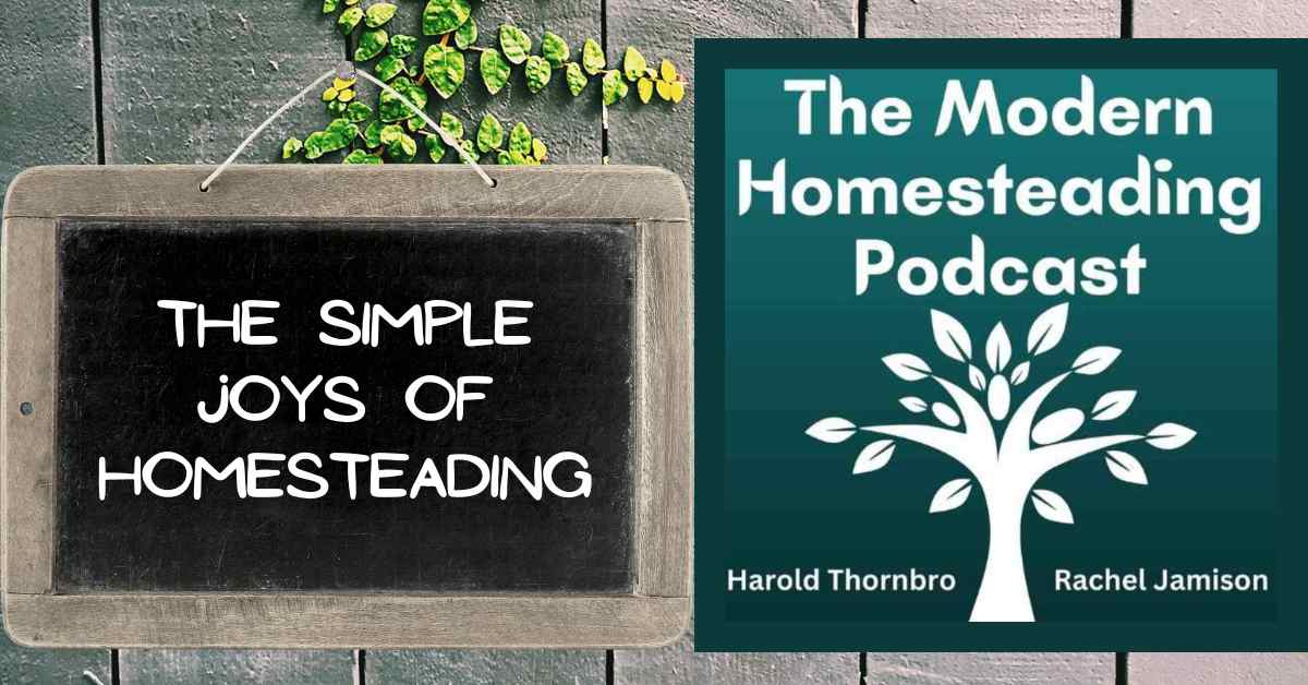 Read more about the article The Simple Joys of Homesteading: Raising Animals, Growing Food, and Building Community