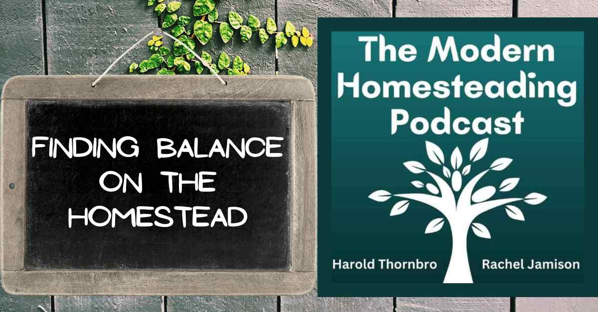 Read more about the article Finding Balance On The Homestead: Inspiration and Tips From A Life In The Wild