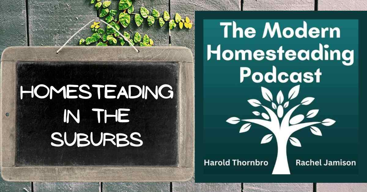 Read more about the article Homesteading In The Suburbs: A Journey Toward Self-Sufficiency