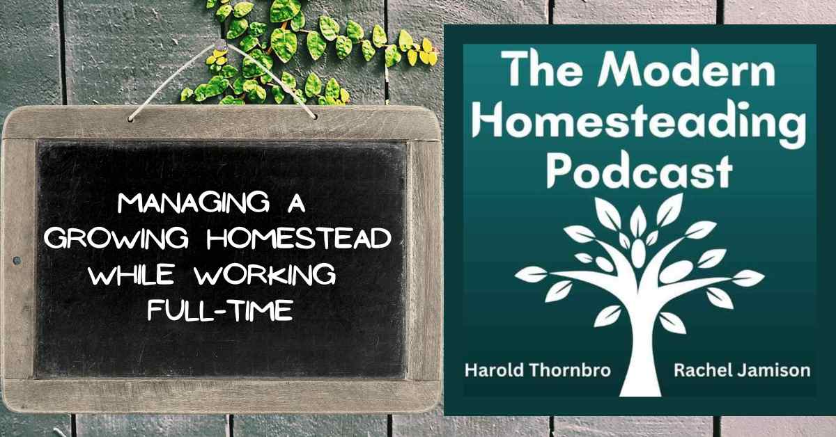Read more about the article Managing a Growing Homestead While Working Full-Time