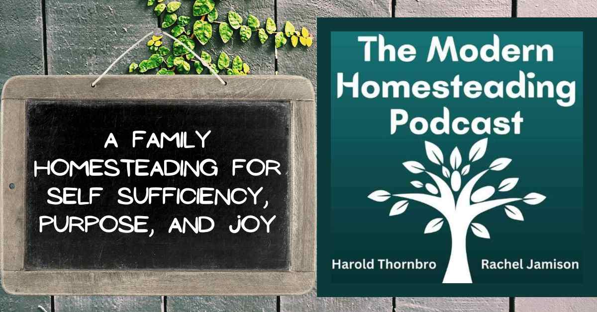 Read more about the article A Family Homesteading For Self Sufficiency, Purpose, And Joy