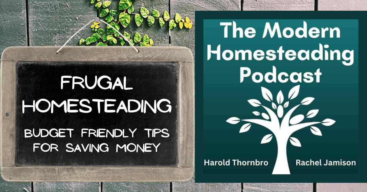 Read more about the article Frugal Homesteading: Budget Friendly Tips For Saving Money