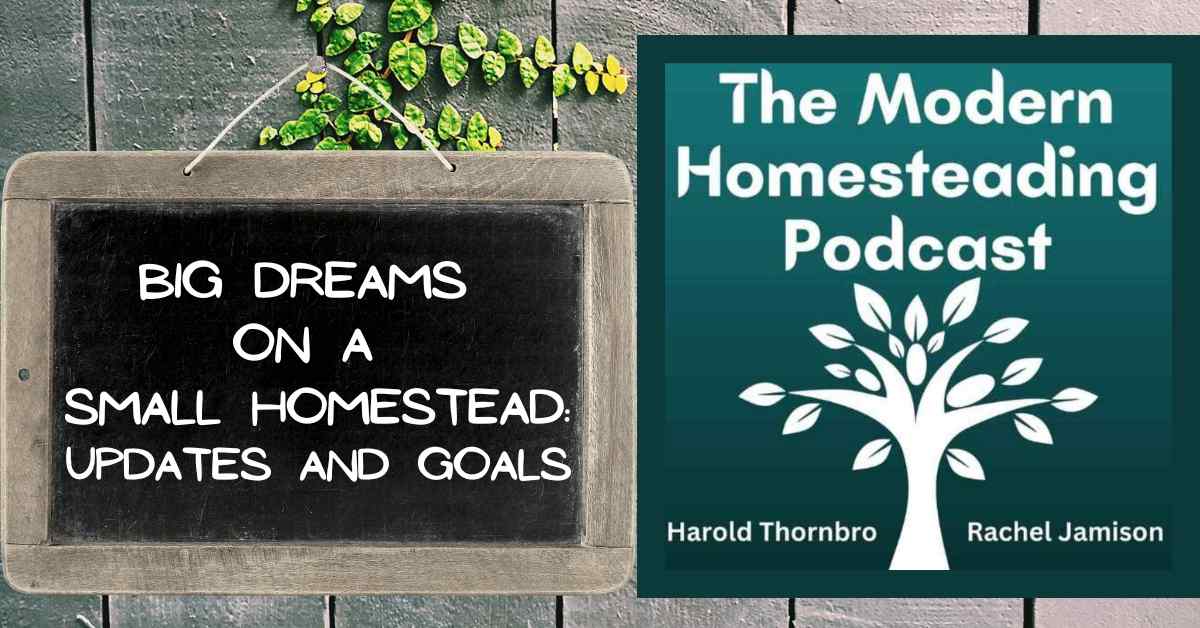 Read more about the article Big Dreams on a Small Homestead: Updates and Goals