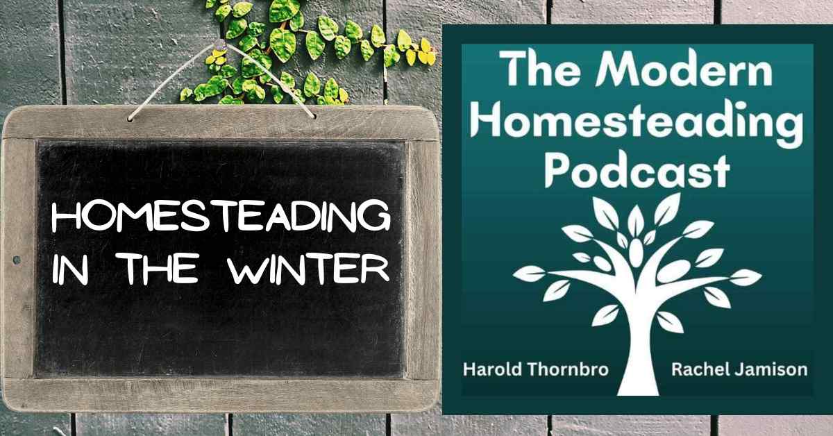 Read more about the article Homesteading In The Winter: Stay Productive and Cozy All Season