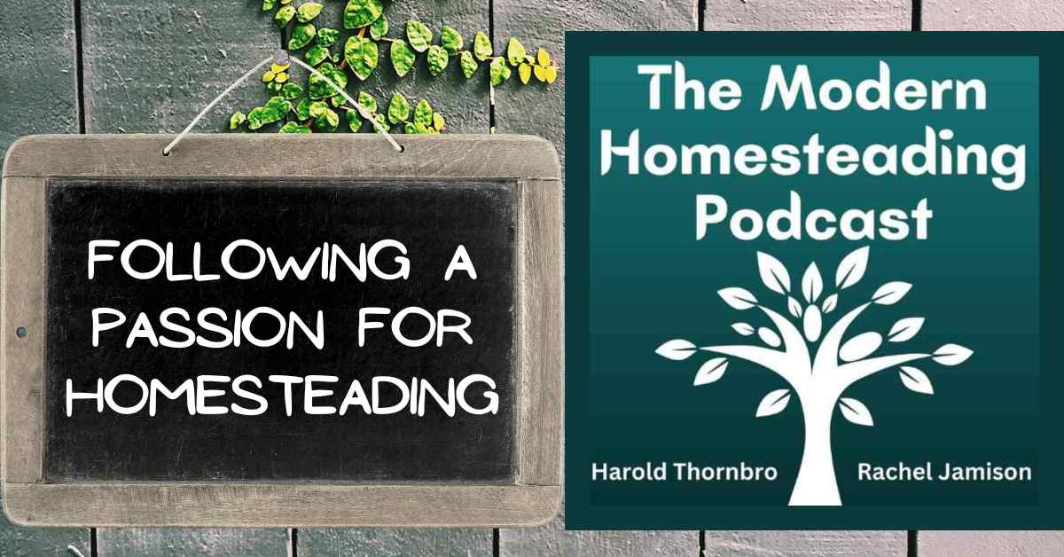 Read more about the article Following A Passion For Homesteading: Simple Steps To Start Your Own Journey