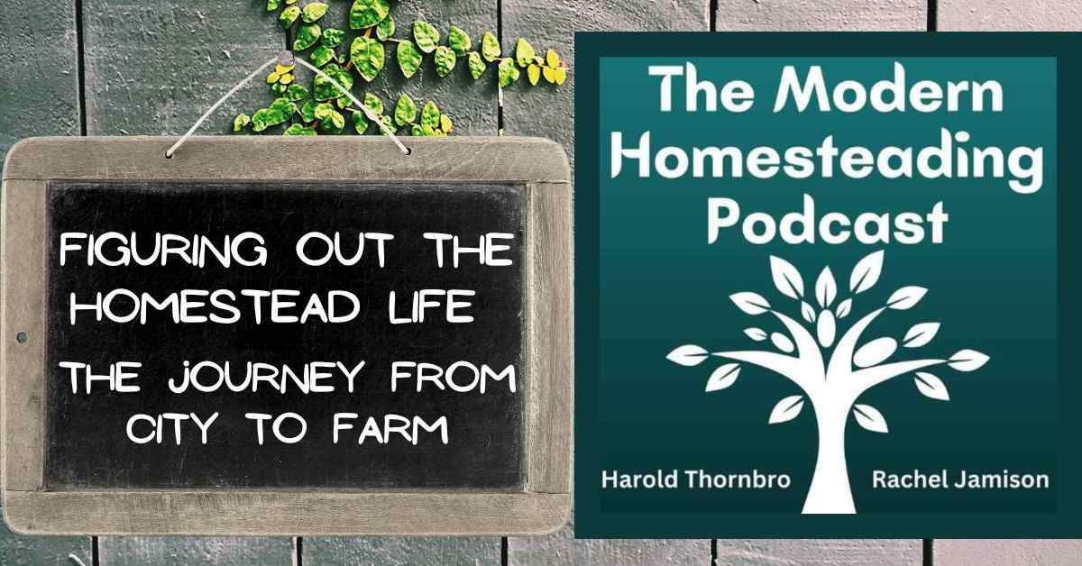 Read more about the article Figuring Out The Homestead Life: The Journey from City to Farm