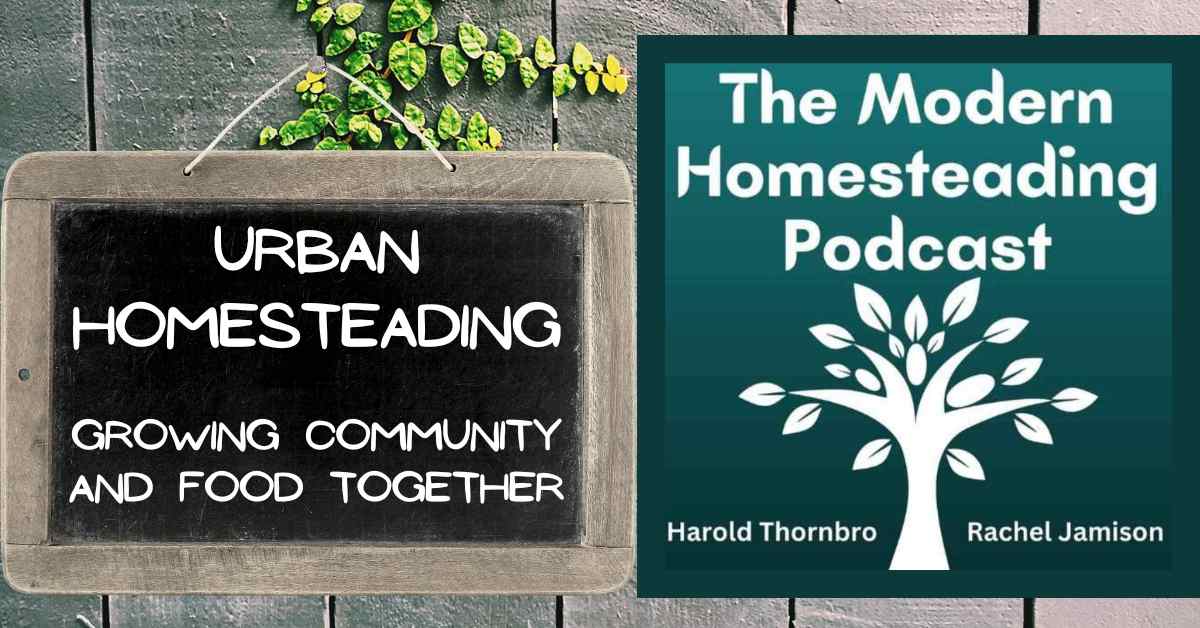 Read more about the article Urban Homesteading: Growing Community and Food Together