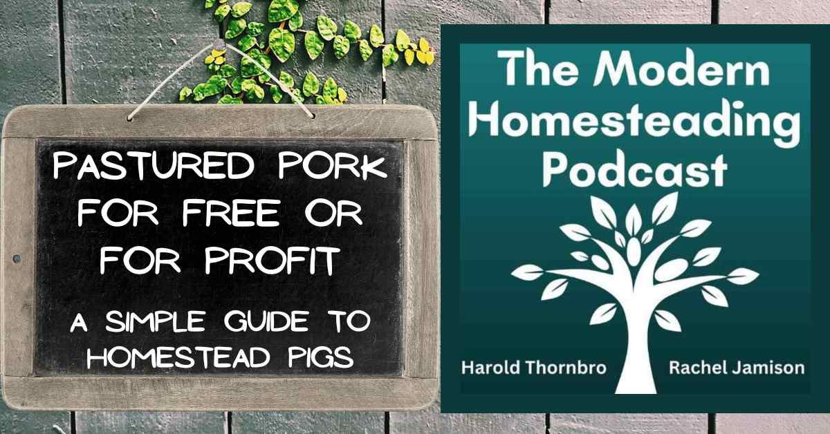 Read more about the article Pastured Pork For Free or For Profit: A Simple Guide to Homestead Pigs
