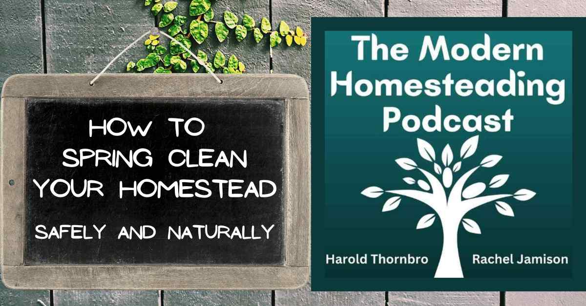 Read more about the article How to Spring Clean Your Homestead Safely and Naturally