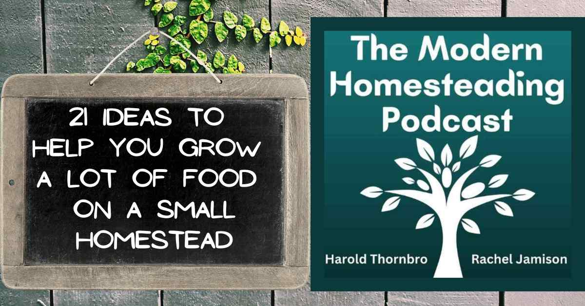 Read more about the article 21 Ideas To Help You Grow A Lot Of Food On A Small Homestead