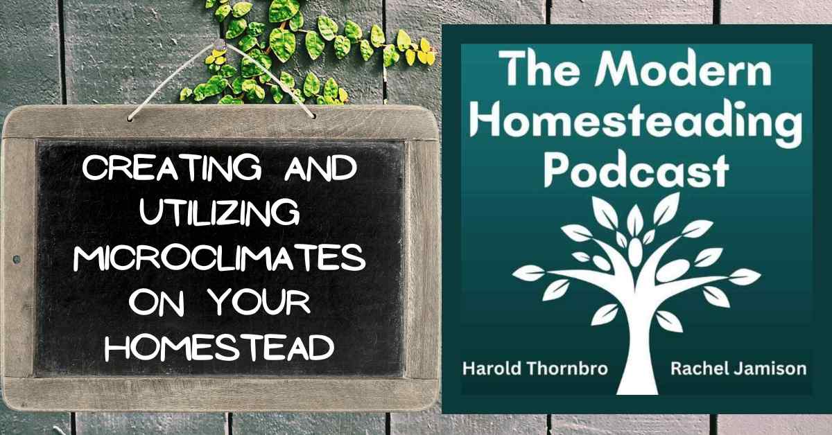 Read more about the article Creating and Utilizing Microclimates On Your Homestead