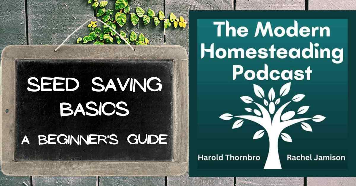 Read more about the article Seed Saving Basics: A Beginner’s Guide