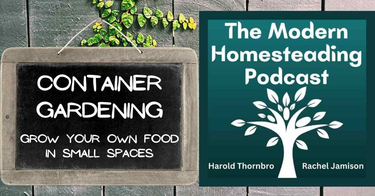 Read more about the article Container Gardening: Grow Your Own Food in Small Spaces