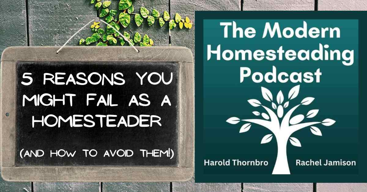 Read more about the article 5 Reasons You Might Fail As A Homesteader (And How to Avoid Them!)