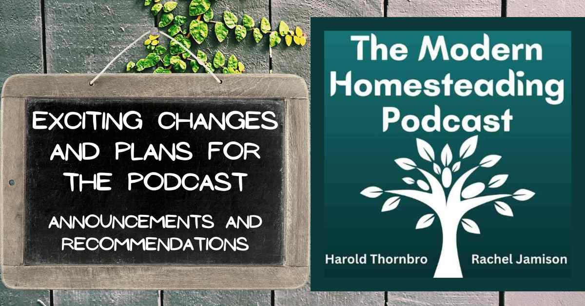 Read more about the article Exciting Changes and Plans for the Podcast: Announcements and Recommendations