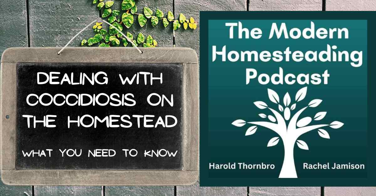 Read more about the article Dealing with Coccidiosis on the Homestead: What You Need to Know
