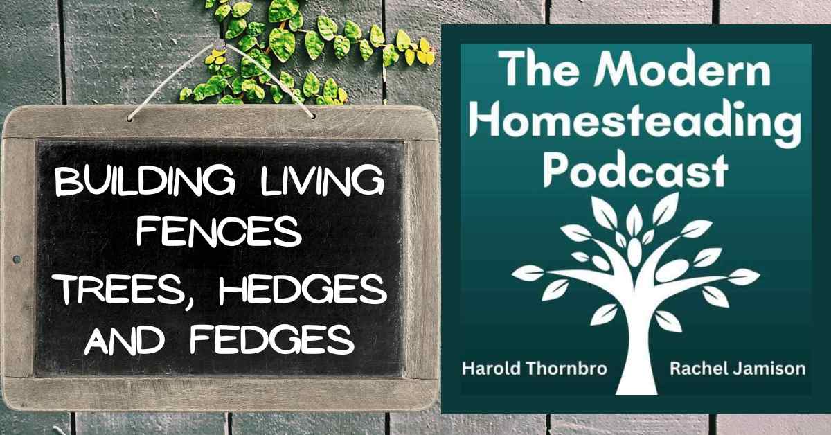 Read more about the article Building Living Fences: Trees, Hedges and Fedges
