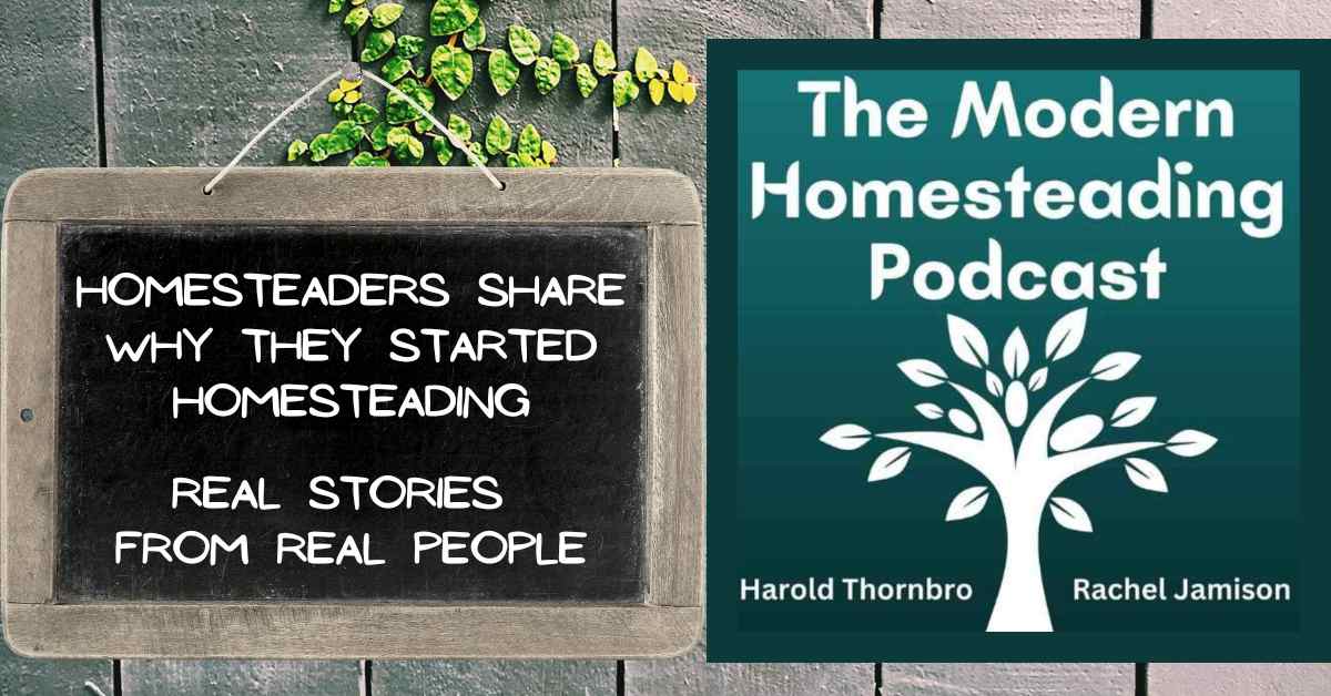 Read more about the article Homesteaders Share Why They Started Homesteading: Real Stories From Real People