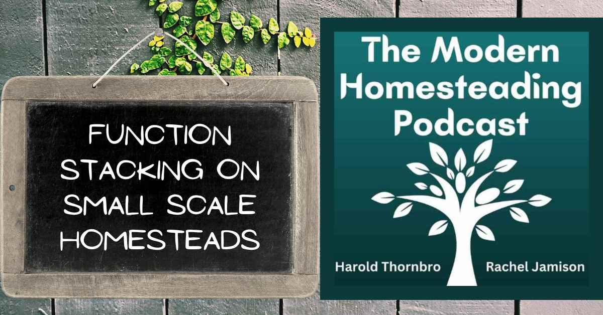 Read more about the article Function Stacking On Small Scale Homesteads