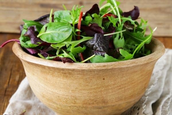 Cuisinart Large Salad Spinner- Wash, Spin & Dry Salad Greens, Fruits &  Vegetables, 5qt, CTG-00-SAS for unisex-adult