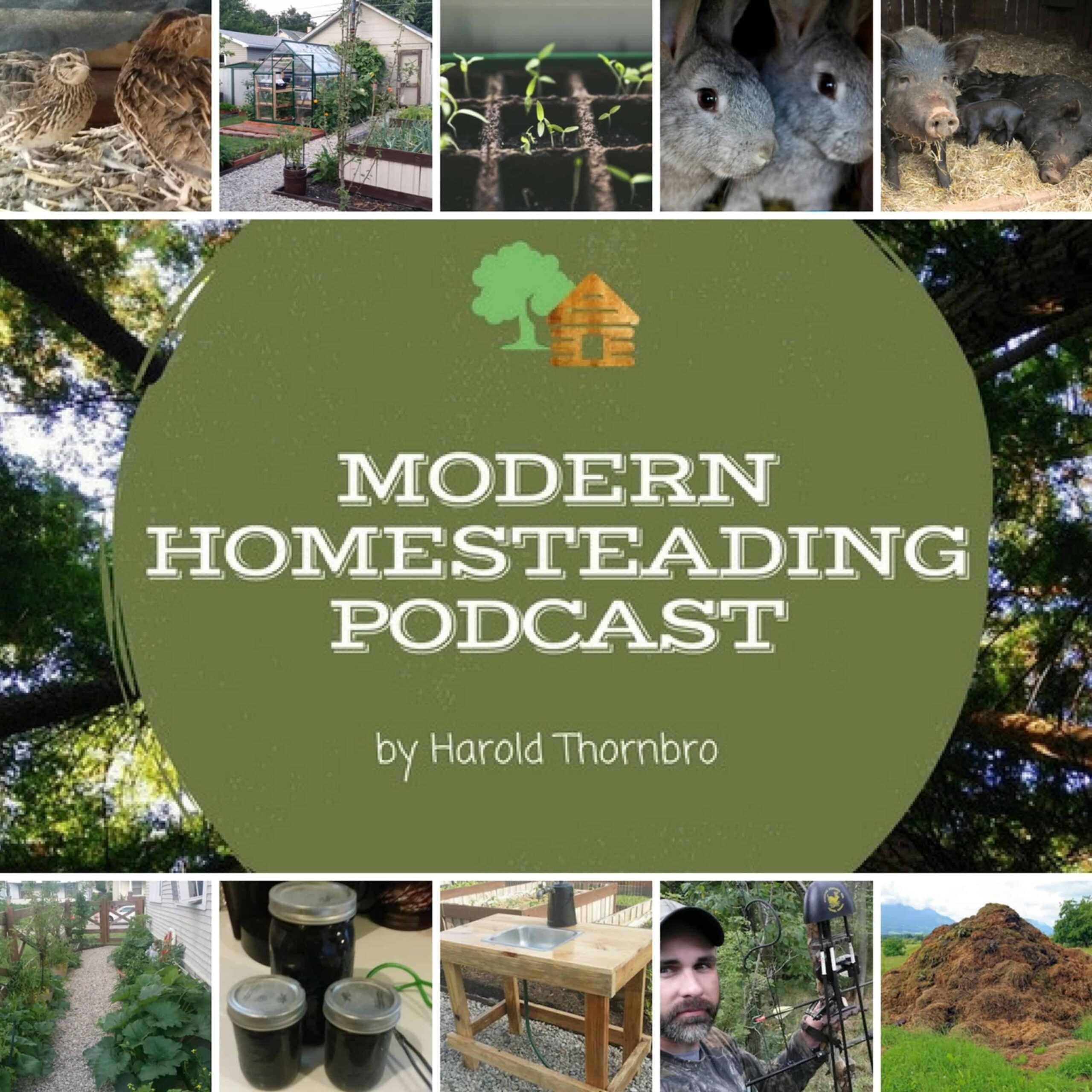 Homesteading By The Guinea Fowl Principle With Guests Sean and Rachel
Reeves