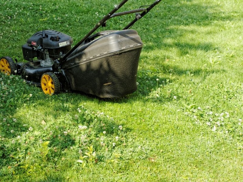 Photo of push lawnmower