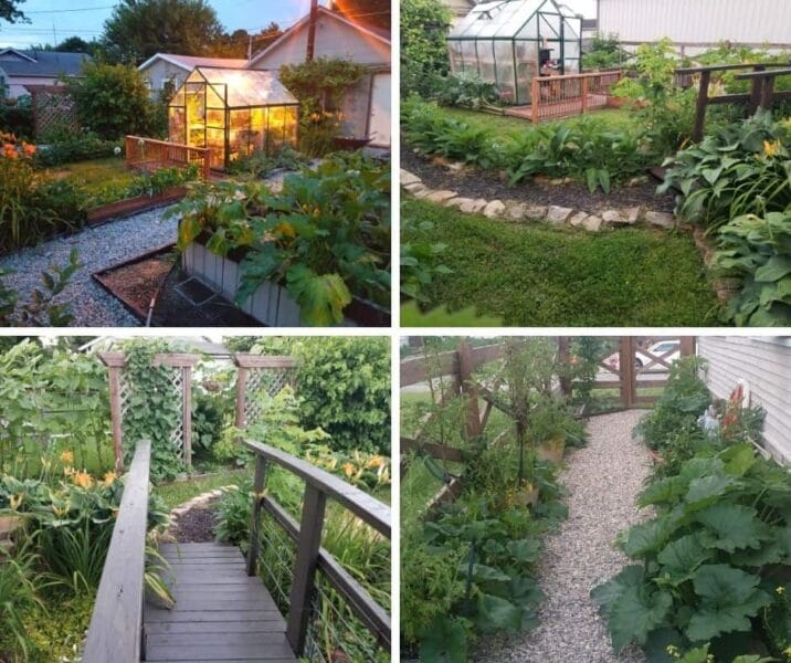 Urban Small Space Permaculture Homestead Tour & How You Can Do It Too ...