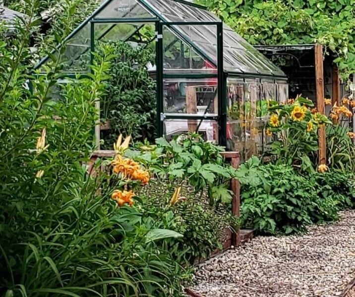 Photo of Backyard Greenhouse