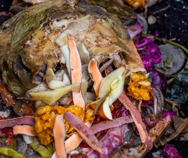 Photo of food scraps in bokashi compost