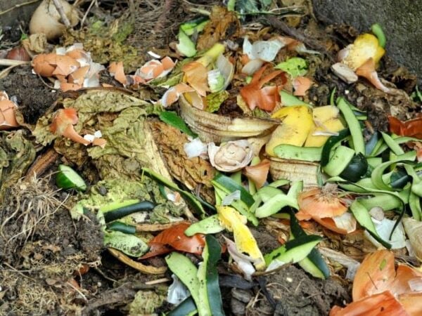 Compost pile in active decomposition
