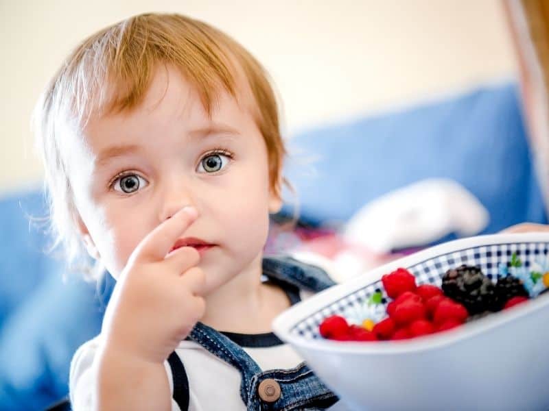 photo of child eating berries