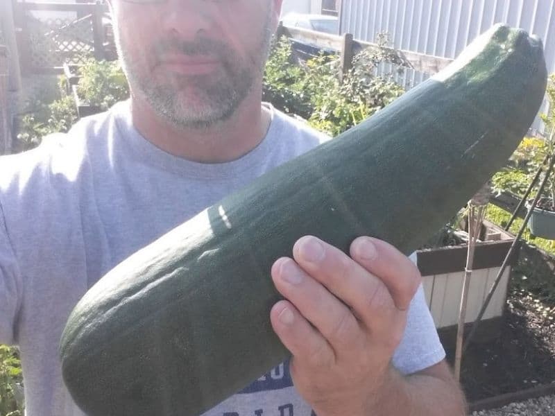 Photo of me with a zucchini from the garden