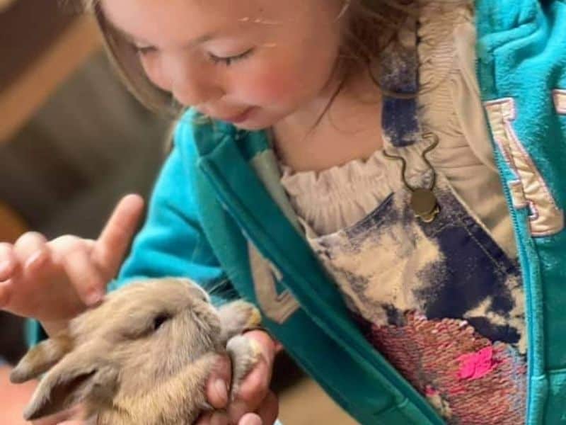 photo of m granddaughter and baby rabbit