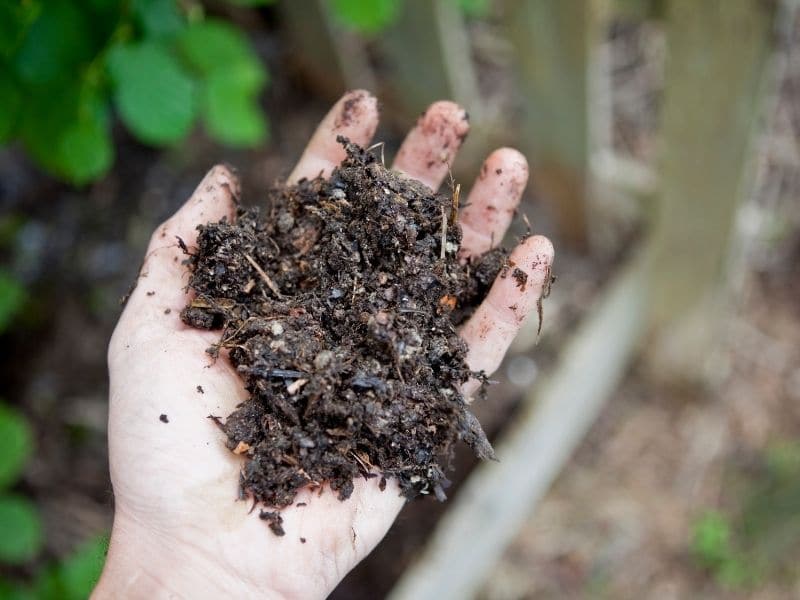 photo of holding compost