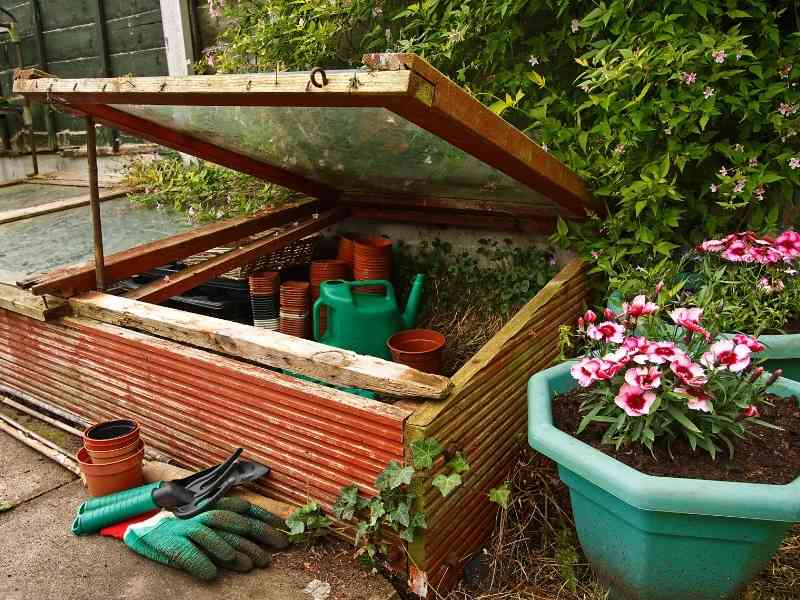 photo of cold frame