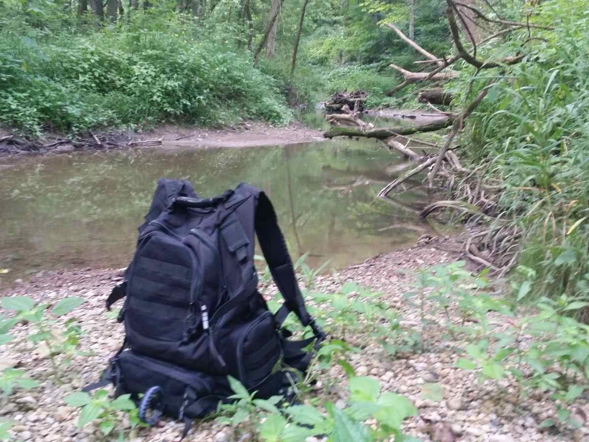 Read more about the article Time Spent In Nature Is Never Time Wasted