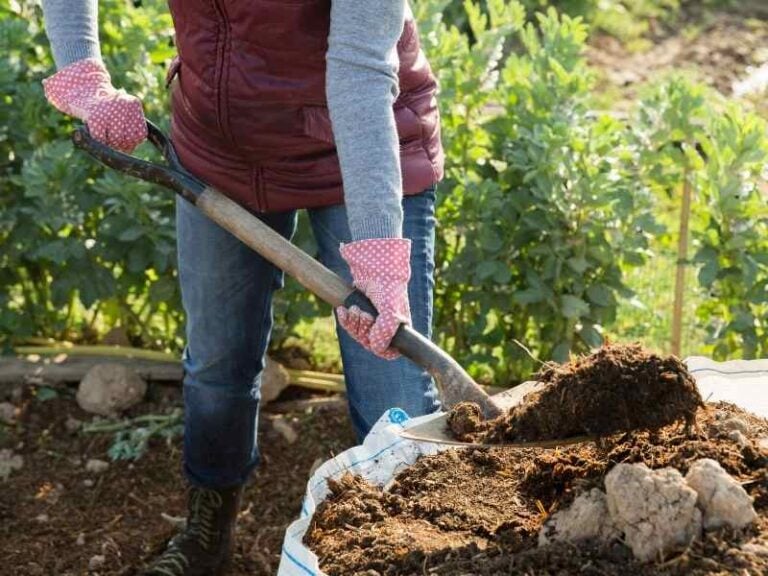 Compost, Topsoil, Potting Soil Which Should I Buy For My Raised Beds