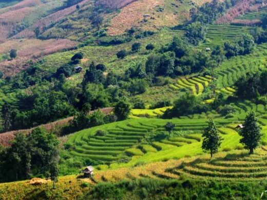 Keyline Planting What Is A Permaculture Keyline Design? - The Small Town Homestead