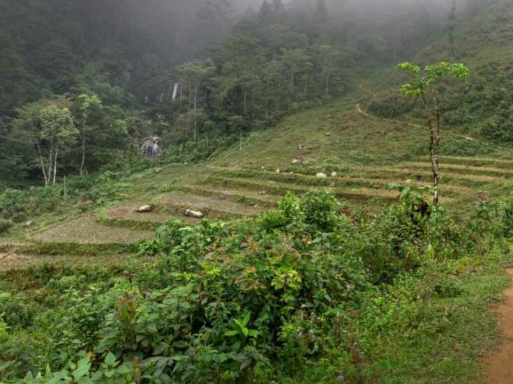 Keyline Planting What Is A Permaculture Keyline Design? - The Small Town Homestead